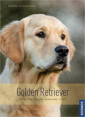 Golden Retriever Welpen: Kosten & wichtige Fragen - GolDen Retriever Buch
