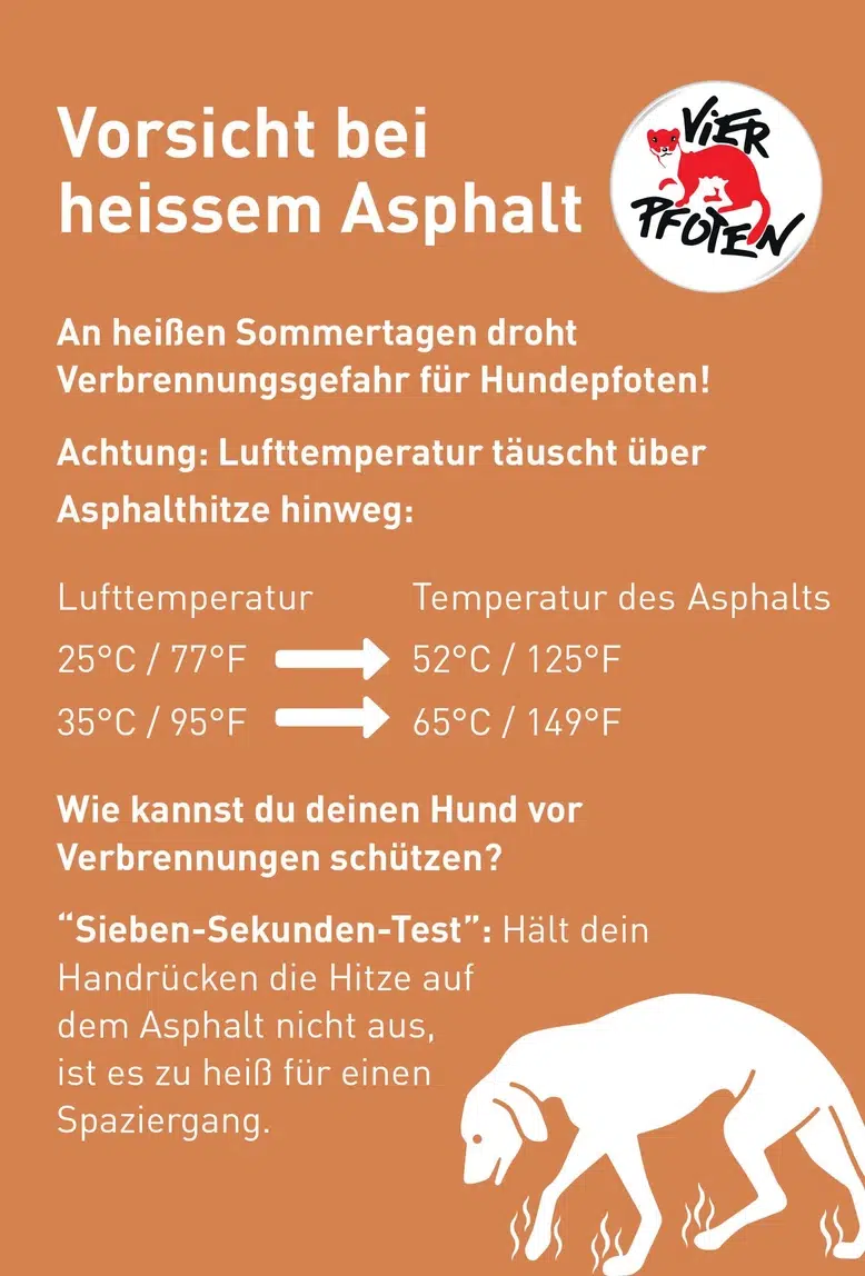Infografik „Vorsicht bei heißem Asphalt“ von „Vier Pfoten“